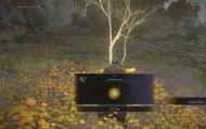 Use the seeds to upgrade the flask. (Image via FromSoftware)